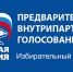 Участники предварительного голосования: избирательный округ №12 - Единая Россия