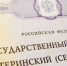 Сертификат на материнский капитал получили 63 тысячи ярославских семей - Mir76.Ru