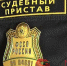 В Ярославской области судебные приставы «выудили» алиментщика из кустов - YarNews.Ru