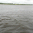 Ярославские спасатели сообщают о высоком уровне воды в Рыбинском водохранилище - Ярославский регион