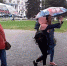 Косолапые в Ярославле тоже за выборы - YarNews.Ru