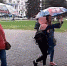 По улицам Ярославля пошли медведи-агитаторы - Городские новости
