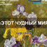 В Выставочном зале им. Нужина открывается выставка "Этот чудный мир" - Mir76.Ru