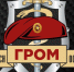 Майский «ГРОМ» ярославских кудоистов - КУДО