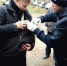 В Красноперекопском районе Ярославля обнаружили бешеную крысу - Городские новости