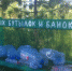 Ярославская экоактивистка установила в своем селе контейнер для сбора бутылок и банок. Итоги эксперимента - YarCube.Ru