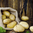 ГК «Иррико» поставит картофель для чипсов Lay’s - YarNews.Ru
