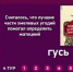 OctoberBeerFestival на «Балтике» прошел в онлайн-формате - Ярославский регион