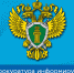 Обратиться за профессиональным обучением и дополнительным образованием можно будет по месту пребывания - Мэрия города