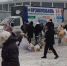 В центре Ярославля пройдет акция "Ярэкомобиль" - Городской телеканал