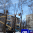 В Дзержинском районе Ярославля опиливают деревья - Городской телеканал