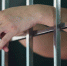В Ярославской области задержали женщину, подозреваемую в убийстве сожителя - ГТРК