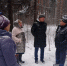 Под Ярославлем организовали проверку по факту рубки лесных насаждений в районе Красных Ткачей - Ярославский регион