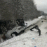 Четверо ярославцев пострадали в крупном ДТП с автобусом в Беларуси - TwitRegion.Ru