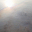 На Волге в Ярославле появились нефтяные пятна - ГТРК