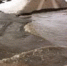 Вода наступает: в Ростовском районе Ярославской области размыло участок дороги - ЯРНОВОСТИ