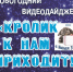 Новогодний дайджест «Кролик к нам приходит!» - ЦБС г. Ярославля