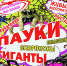В Ярославле открывается выставка «Удивительный мир пауков» - ТК Первый Ярославский