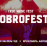 В Ярославле отменили Dobrofest - Ярославский регион