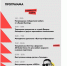 Музыка от «Голивудс» и «PIZZA» и множество мероприятий: стало известно, как отметят День молодежи в Ярославле - Ярославский регион
