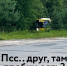 Смех до слез: Ярославль в вихре веселья телеграм - Ярославский Телеграф