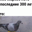 Лето в Ярославле: смех и радость! телеграм - Ярославский Телеграф