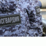Росгвардейцы за неделю совершили около 400 выездов по сигналам «тревога» в Ярославской области - Росгвардия