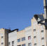 Фото: пресс-служба правительства Ярославской области - НИА-Волга