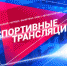 Ярославские пожарные спасли кота - Городской телеканал