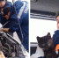 Ярославские спасатели в морозы вытащили котенка из-под капота авто - YarNews.Ru