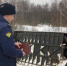 Ярославская прокуратура проводит проверку в связи с ДТП с автобусом - Городской телеканал
