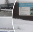 В Угличе начали строить биофабрику по производству заквасок - YarNews.Ru