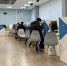 Центры занятости Ярославской области в 2024 году ожидает модернизация - ГТРК