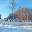 Две любительницы фотографий едва не утонули в ярославском парке_265916 - YarCube.Ru