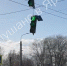 В Тутаеве на подростка упало дерево_268991 - YarCube.Ru