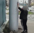 В Ярославле оштрафовали расклейщика объявлений - ГТРК