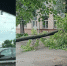 Массовое ДТП и поваленные деревья: ярославцы делятся фотографиями с улиц города - YarCube.Ru