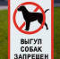 В ЯРОСЛАВЛЕ БУДУТ ПРИНИМАТЬ ФОТО И ВИДЕО-ЖАЛОБЫ НА НЕПРАВИЛЬНЫЙ ВЫГУЛ ПИТОМЦЕВ - Газета Новый вестник