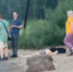 В Ярославле утонул пытавшийся переплыть Волгу мужчина - YarNews.Ru