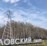 Из Павловской рощи в Ярославле вывезут материалы, оставшиеся от предыдущего подрядчика - Ярославский регион