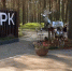 В ярославском «Экопарке» установили оленей  - TwitRegion.Ru