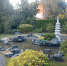 You are viewing the image with filename 1.jpg - Ярославская ГСХА
