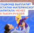 865 семьям Ярославской области выплачены оставшиеся средства материнского капитала - Ярославский регион