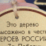 В Юбилейном парке Ярославля завершили посадку деревьев - Городские новости