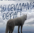 “До свидания, овраг!”: история о дружбе, преданности и жизни на улице! - Дом народного творчества