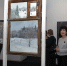 В Ярославле открылась выставка «Разговоры» - Городские новости