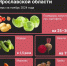 Скачок цен в 1,5 раза: в Ярославской области за месяц резко подорожали продукты - Газета Новый вестник