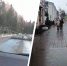 Рухнувшие деревья и лужи: в Ярославле в разгар зимы потеплело до +3 градусов. Видео - 76.Ru