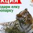 В Ярославле стартовала акция «Подари елку зоопарку» - Городские новости