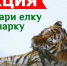 Акция «Подари елку зоопарку» проходит в Ярославской области - Культура Ярославии